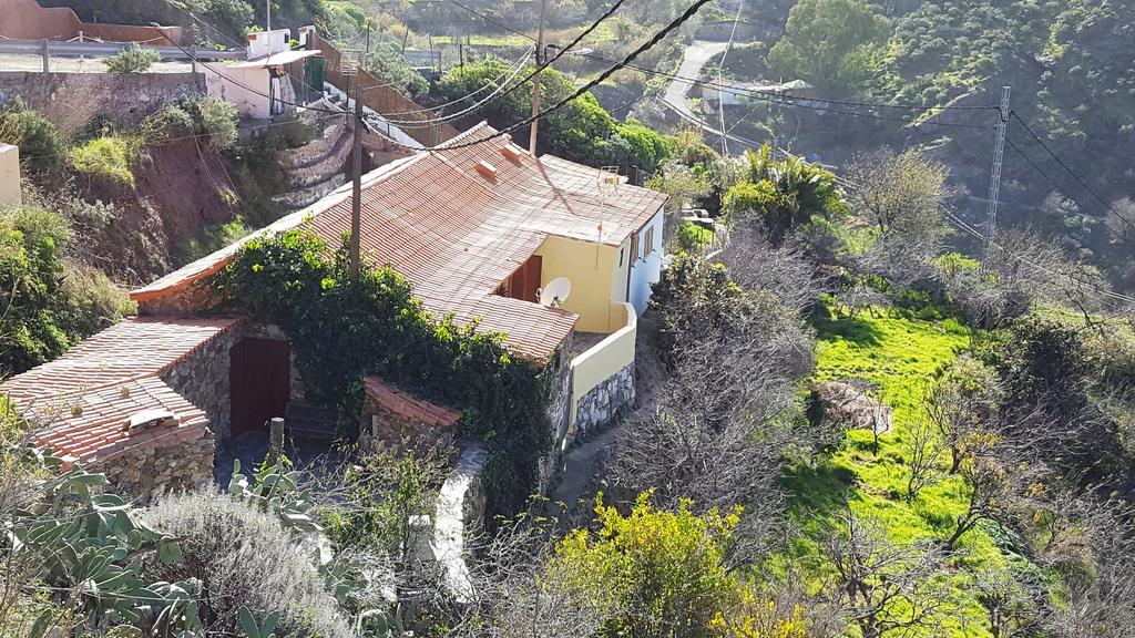 Casa Rural - Laendliches Haus, Pepita La De Las Flores 테헤다 외부 사진