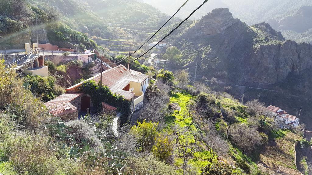 Casa Rural - Laendliches Haus, Pepita La De Las Flores 테헤다 외부 사진