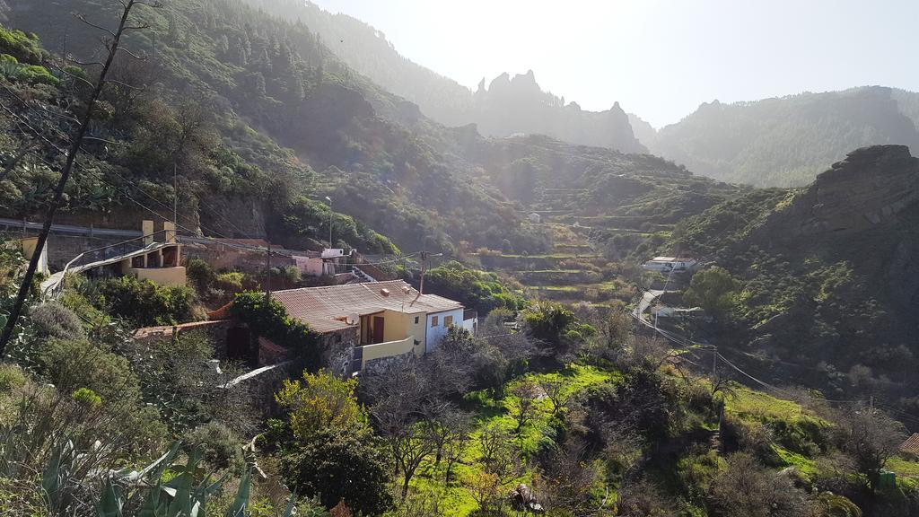 Casa Rural - Laendliches Haus, Pepita La De Las Flores 테헤다 외부 사진