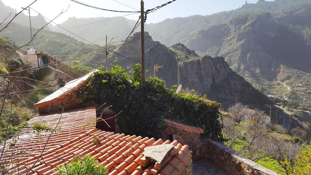 Casa Rural - Laendliches Haus, Pepita La De Las Flores 테헤다 외부 사진
