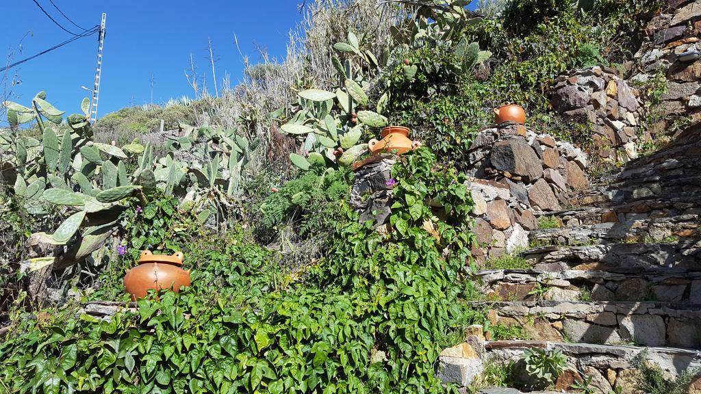 Casa Rural - Laendliches Haus, Pepita La De Las Flores 테헤다 외부 사진