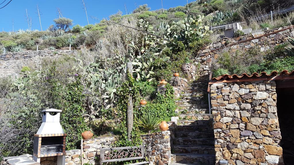 Casa Rural - Laendliches Haus, Pepita La De Las Flores 테헤다 외부 사진