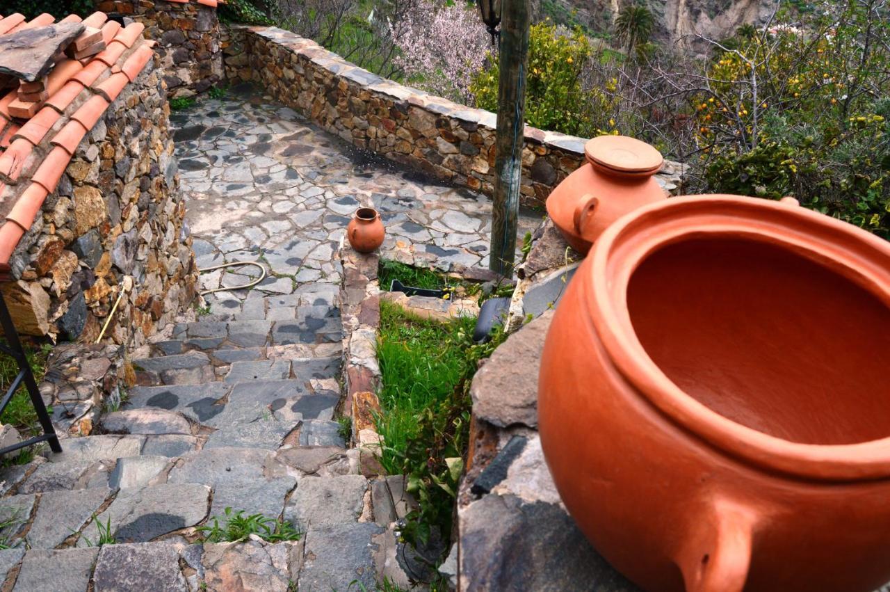 Casa Rural - Laendliches Haus, Pepita La De Las Flores 테헤다 외부 사진
