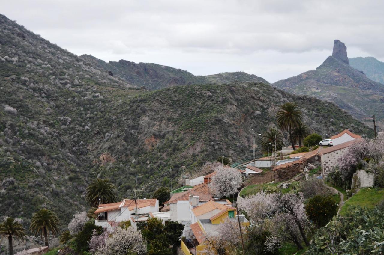 Casa Rural - Laendliches Haus, Pepita La De Las Flores 테헤다 외부 사진